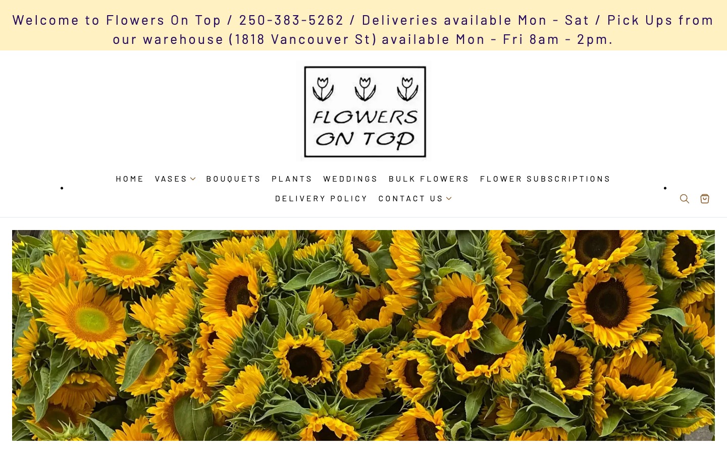 The current homepage